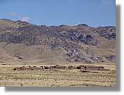 Altipla_096.jpg