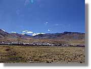 Altipla_103.jpg
