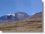 Altipla_105.jpg