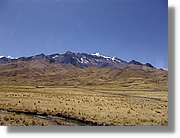 Altipla_109.jpg