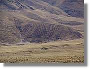 Altipla_112.jpg
