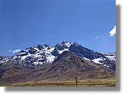 Altipla_114.jpg