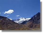 Altipla_115.jpg