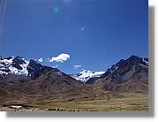 Altipla_116.jpg