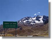 Altipla_120.jpg