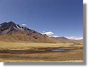 Altipla_126.jpg