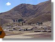 Altipla_127.jpg