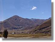 Altipla_130.jpg