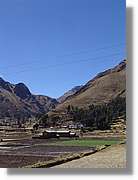 Altipla_132.jpg