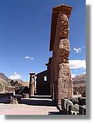 Altipla_157.jpg