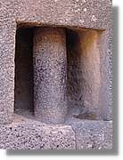 Altipla_168.jpg