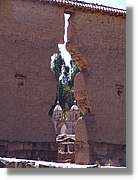 Altipla_176.jpg
