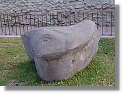 Altipla_192.jpg