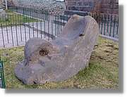 Altipla_194.jpg