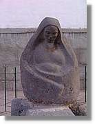 Altipla_195.jpg