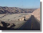 Arequipa_035.jpg