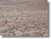 Arequipa_191.jpg