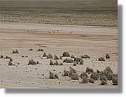Arequipa_194.jpg