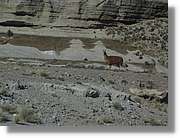 Arequipa_209.jpg