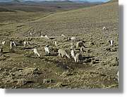 Arequipa_211.jpg