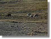 Arequipa_218.jpg