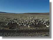 Arequipa_219.jpg