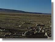Arequipa_225.jpg