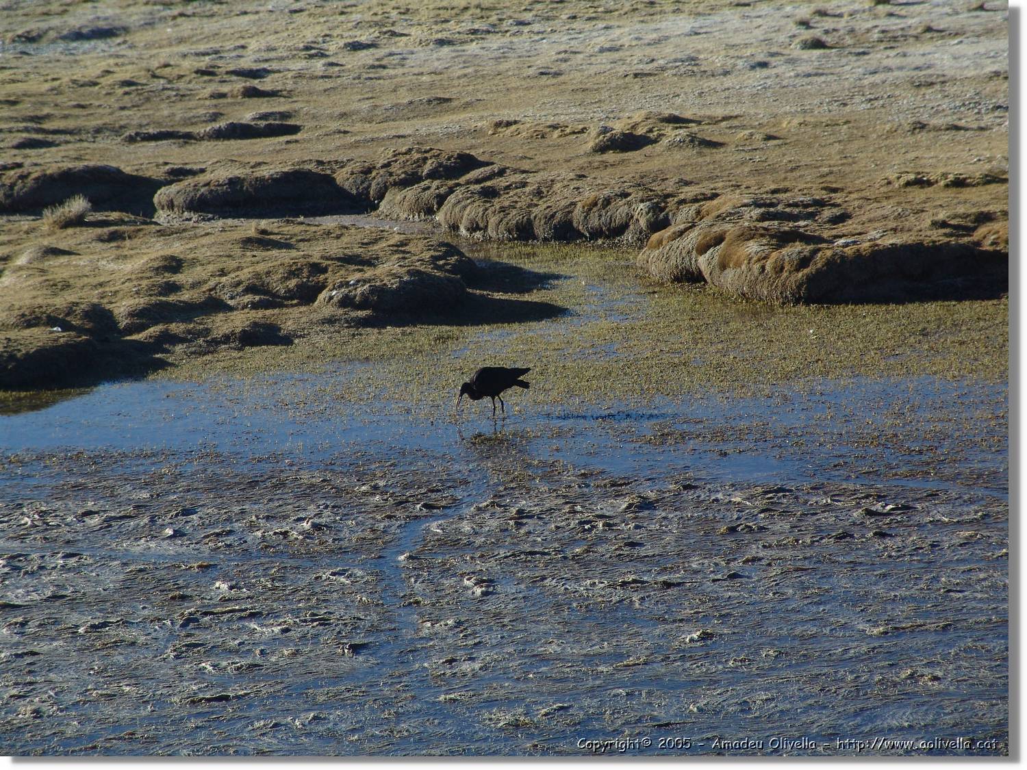 Colca_002.jpg