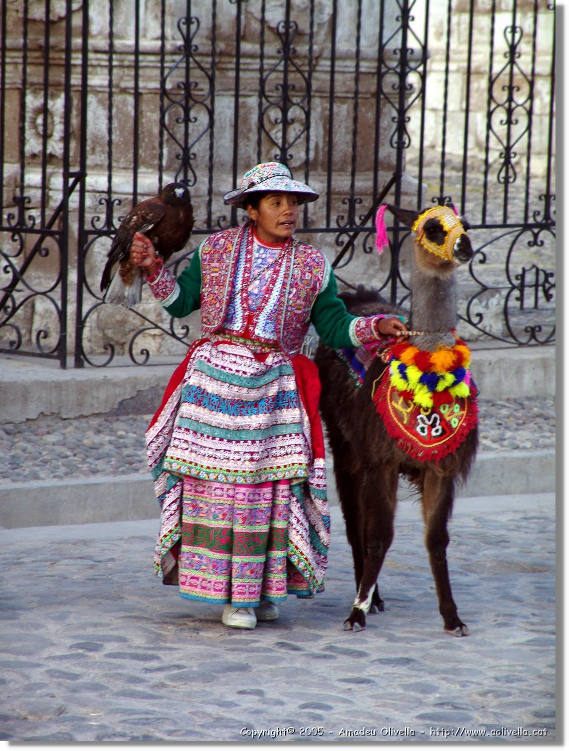 Colca_020.jpg
