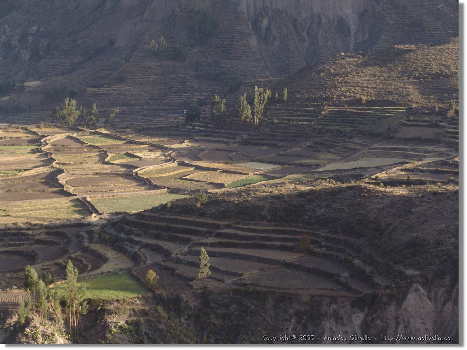 Colca_022.jpg