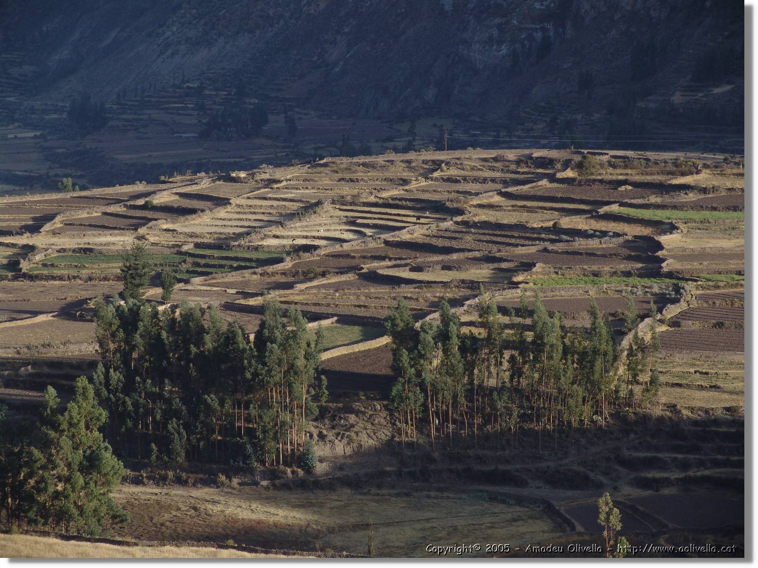 Colca_024.jpg