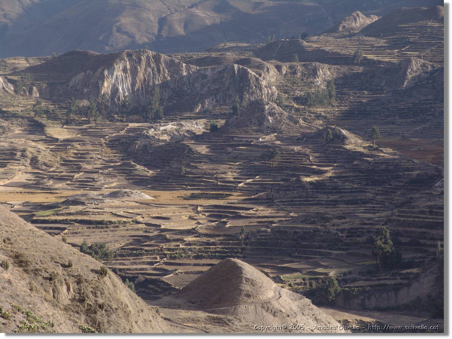 Colca_028.jpg