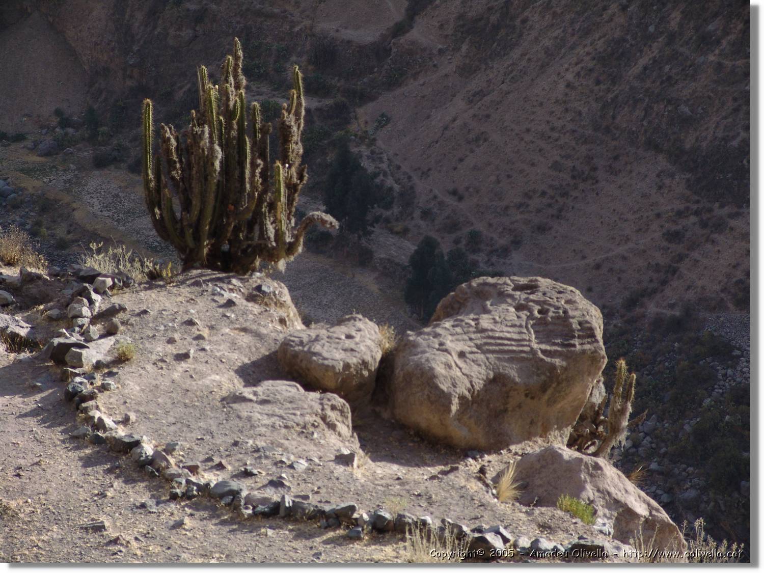 Colca_031.jpg