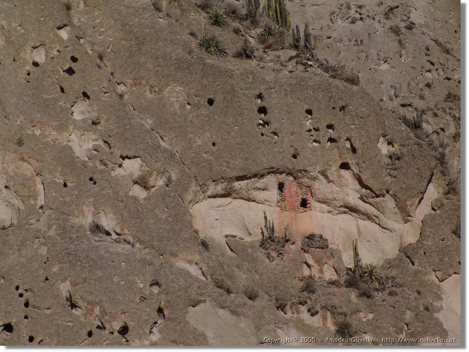 Colca_034.jpg