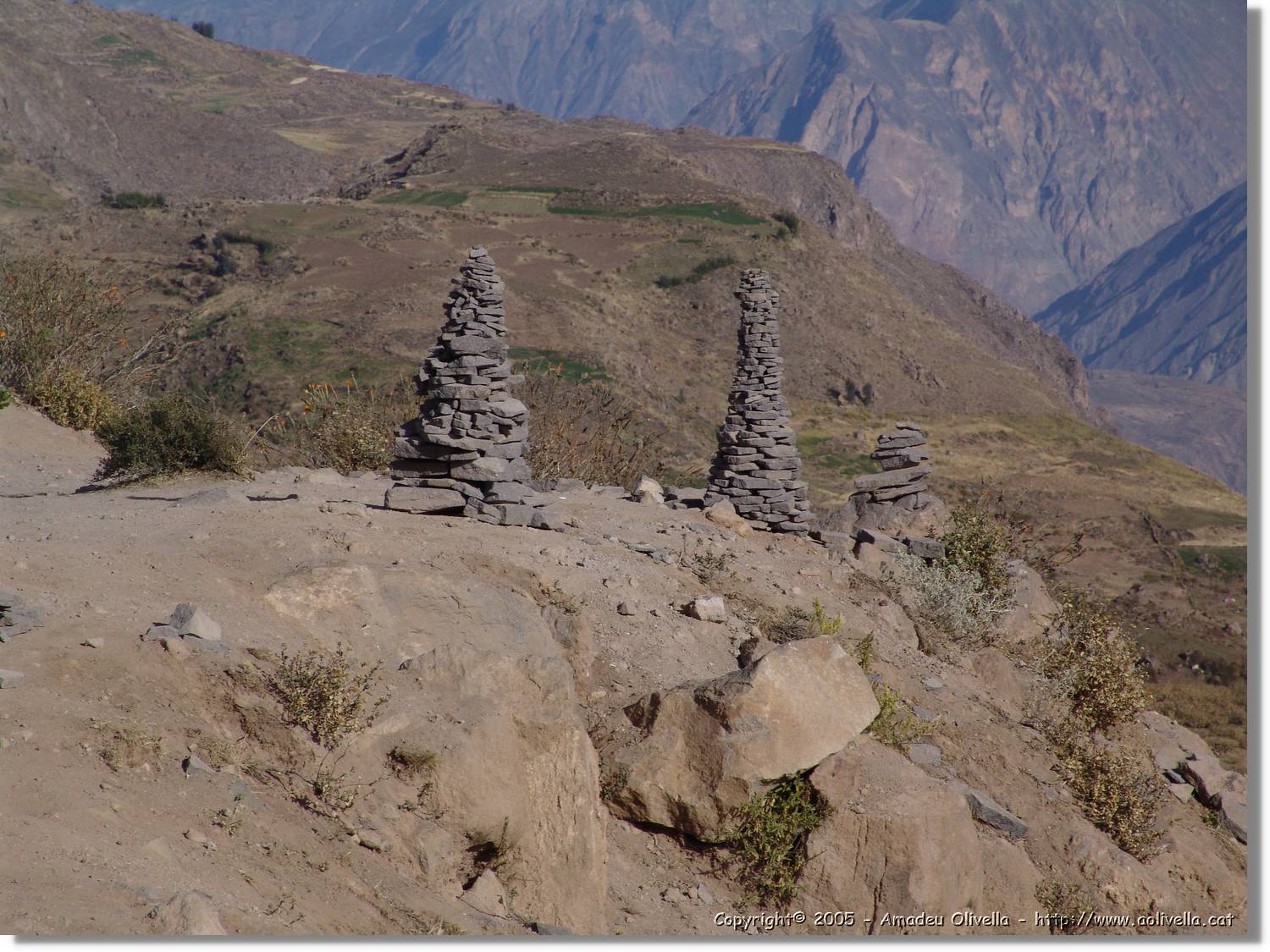 Colca_049.jpg
