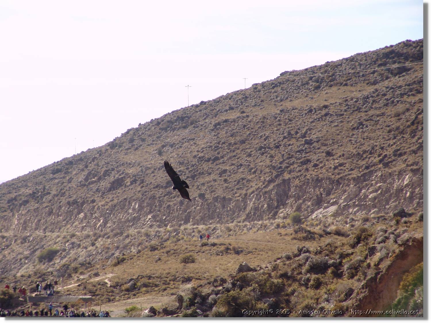 Colca_074.jpg