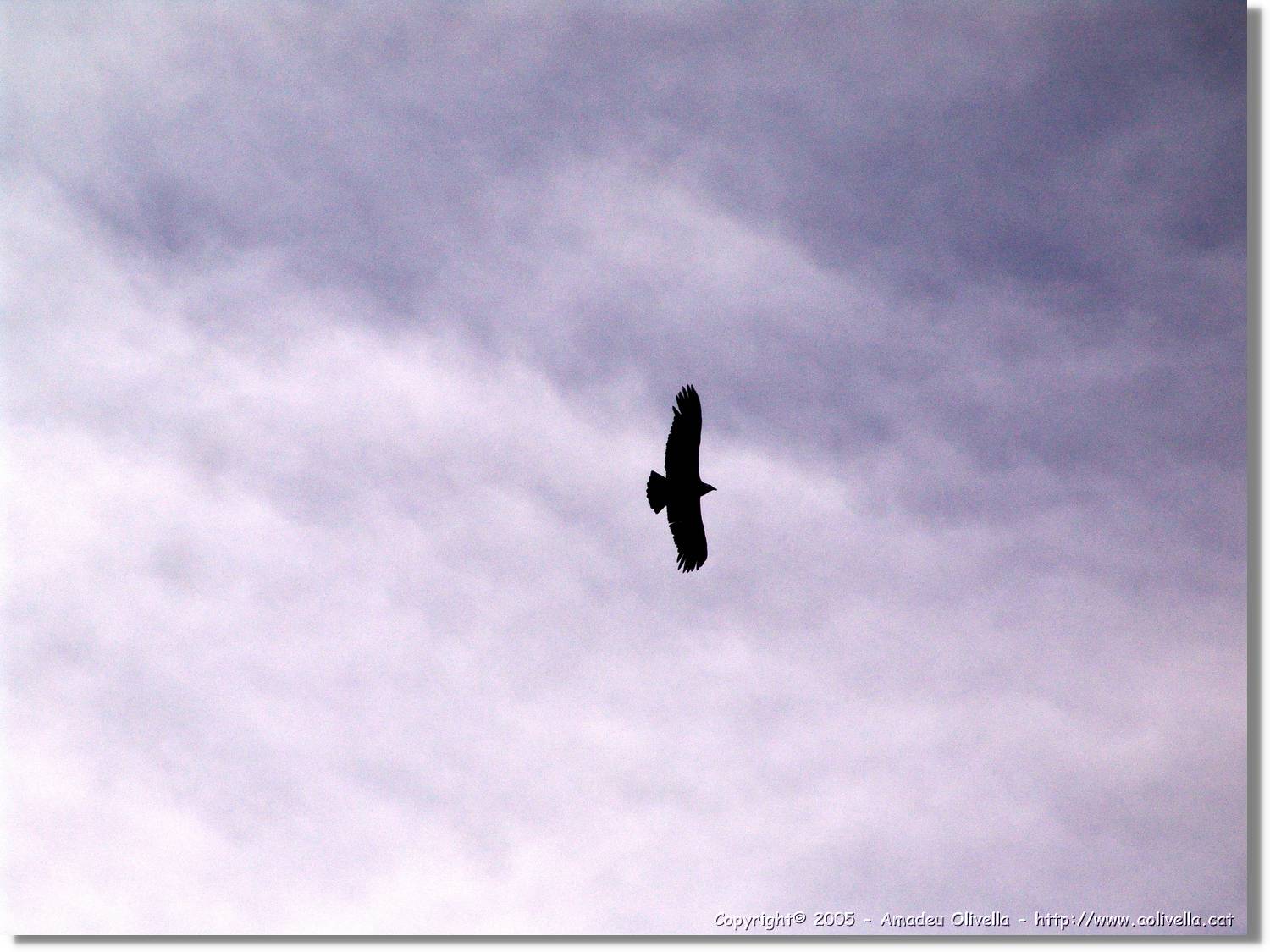 Colca_077.jpg