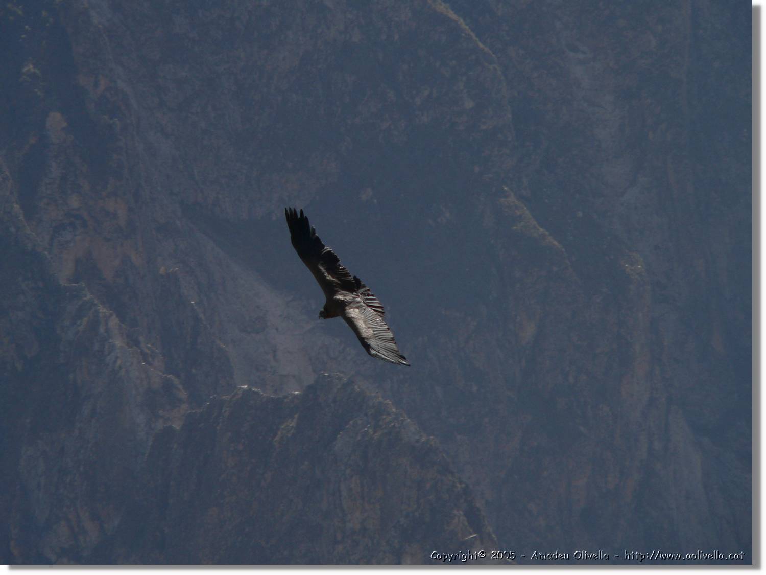 Colca_093.jpg