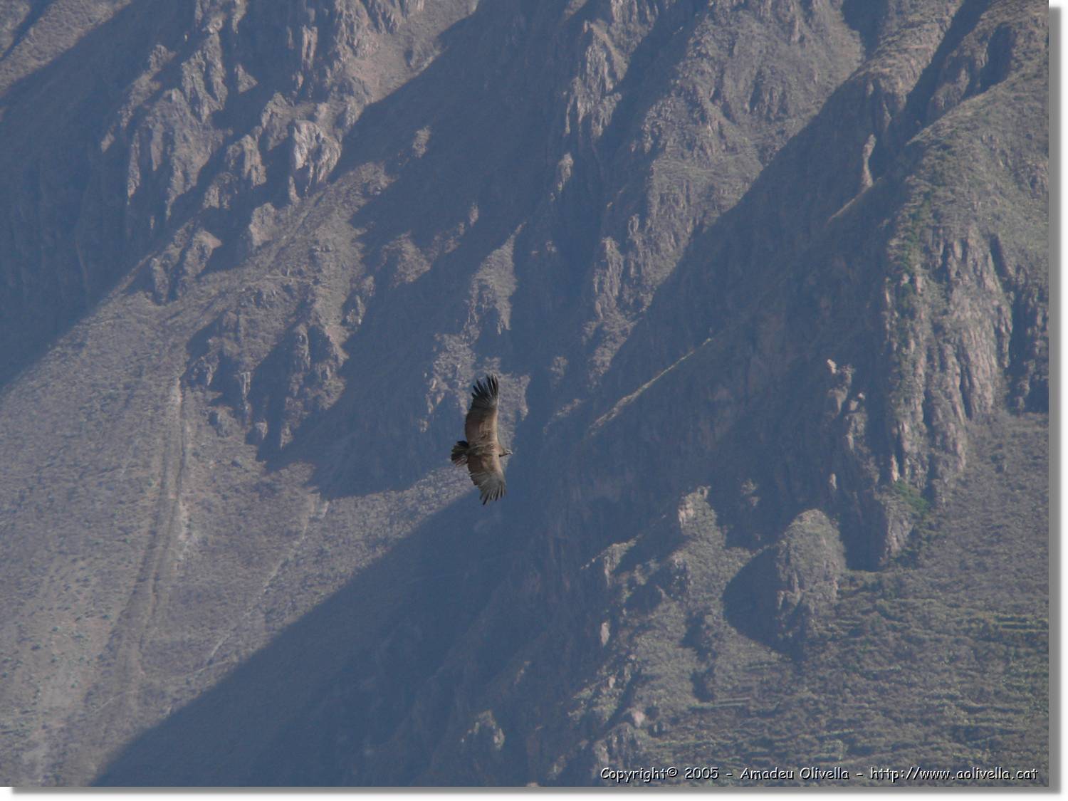 Colca_095.jpg