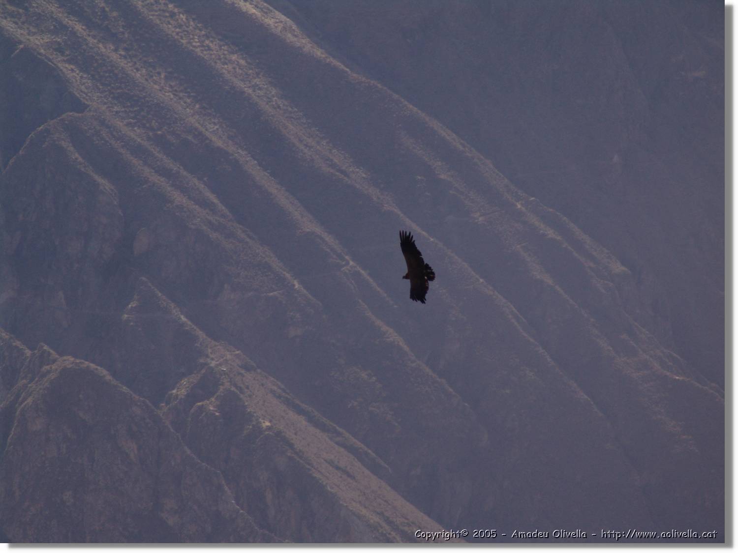 Colca_099.jpg