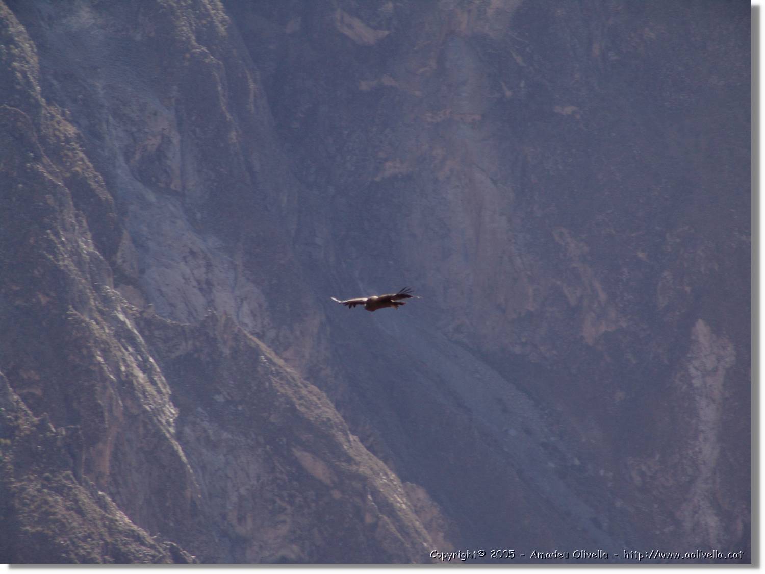 Colca_100.jpg