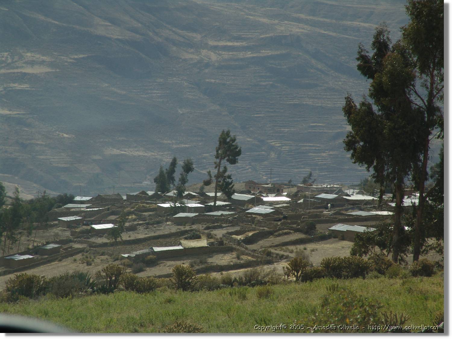 Colca_108.jpg