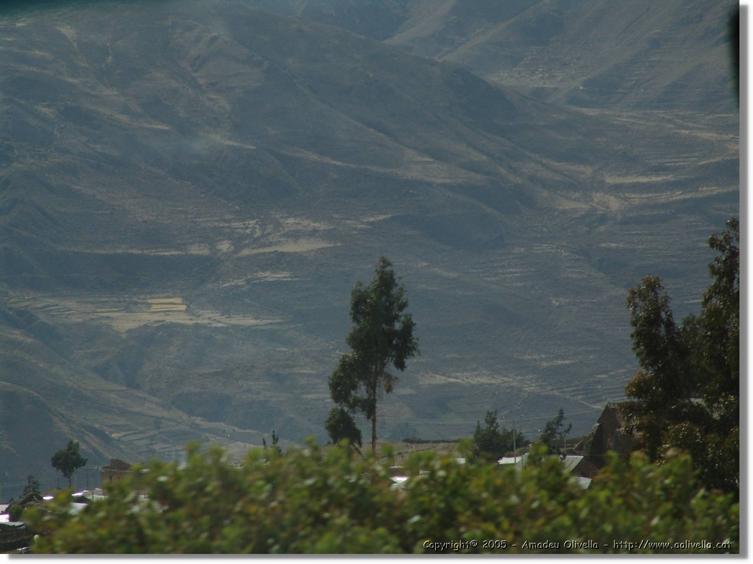 Colca_110.jpg