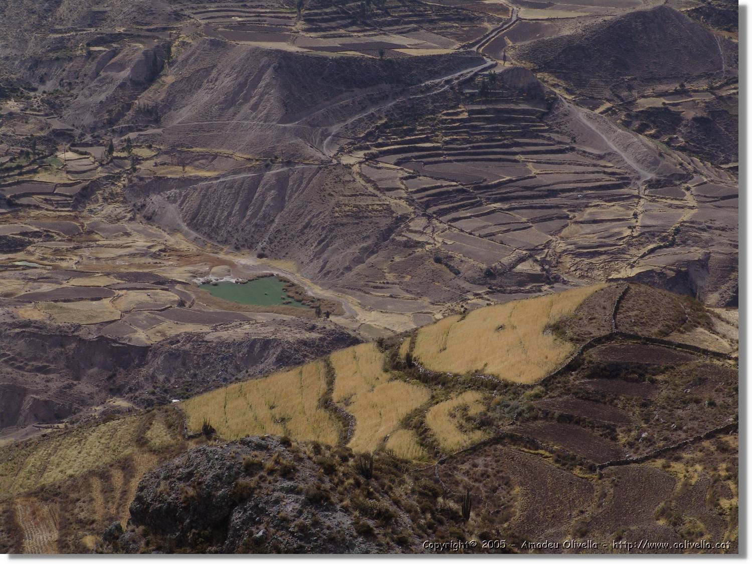 Colca_118.jpg