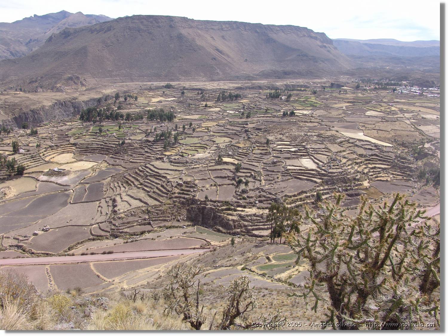 Colca_136.jpg