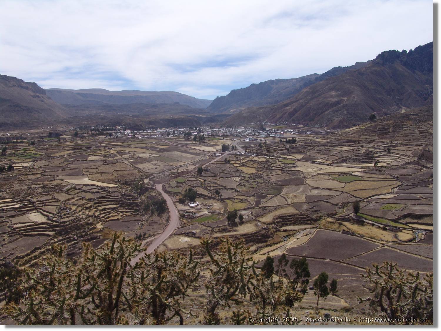Colca_137.jpg