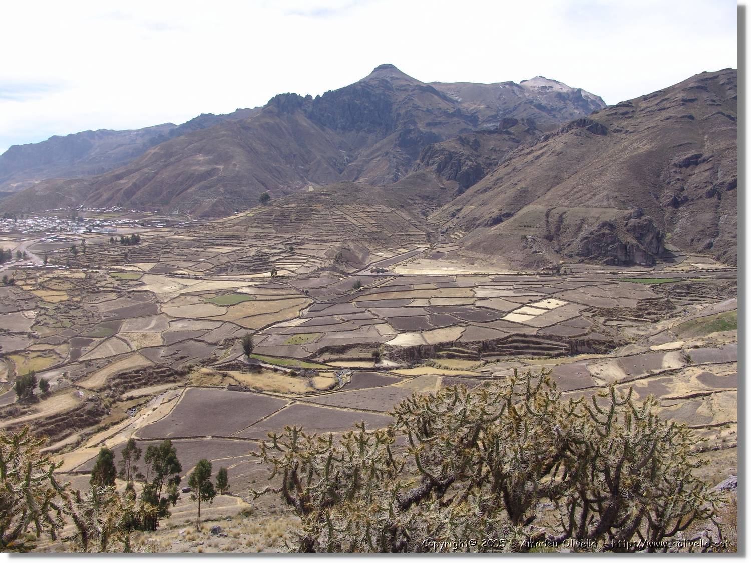 Colca_140.jpg