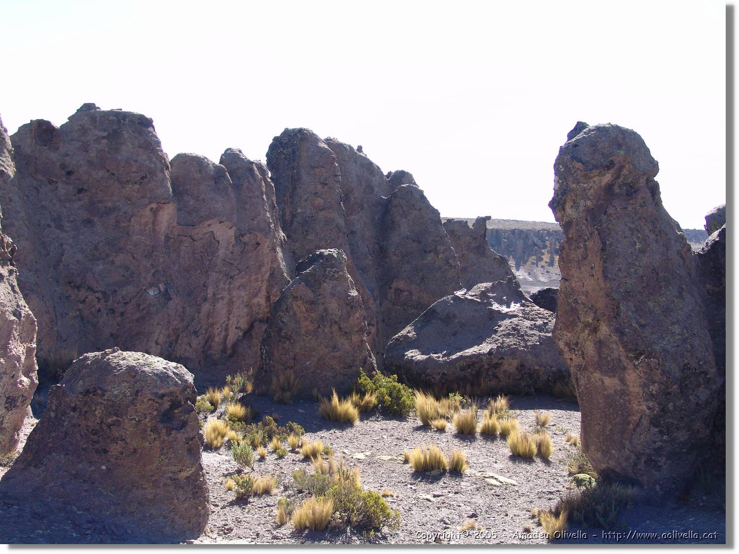 Colca_185.jpg