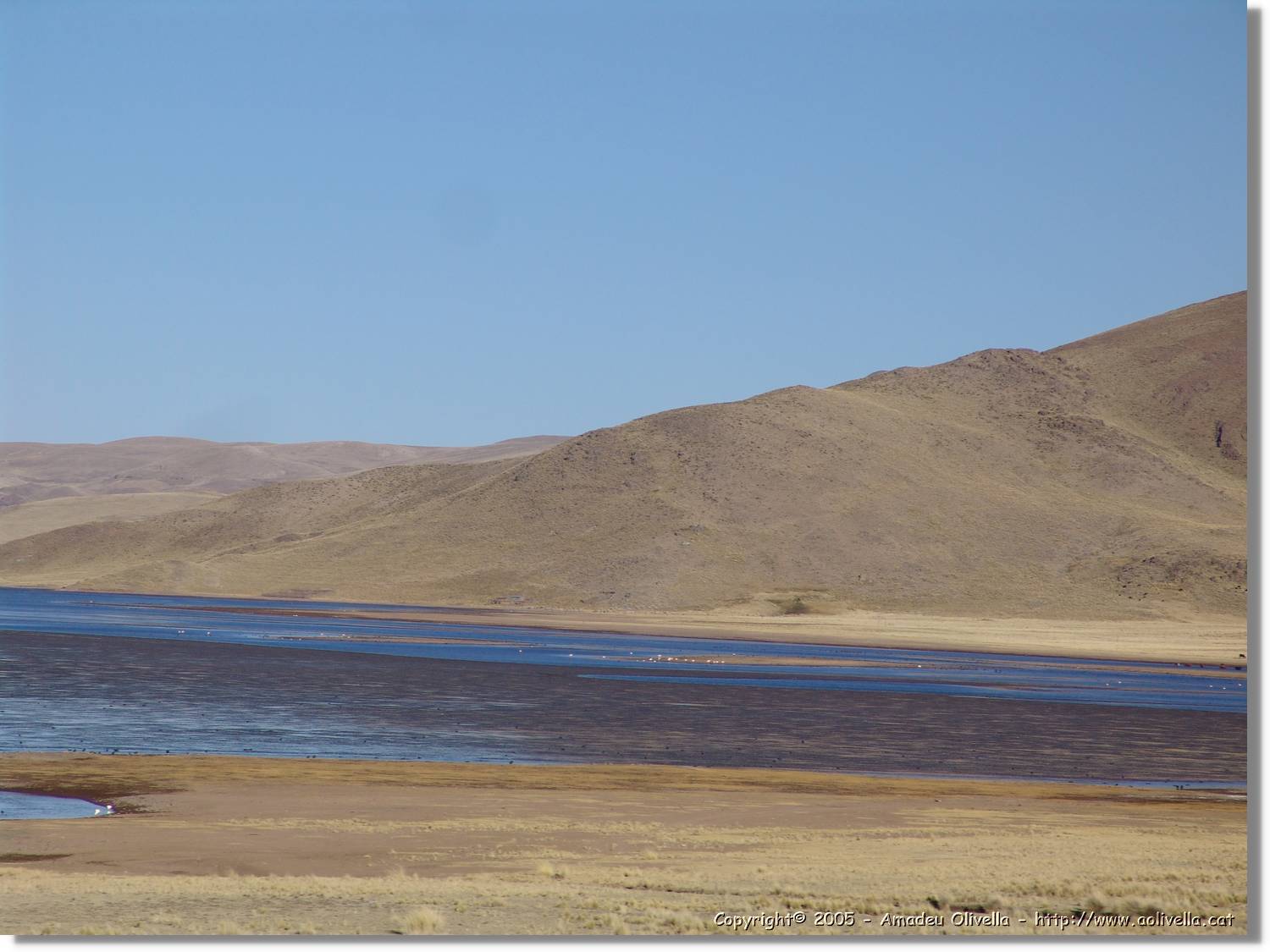 Colca_212.jpg