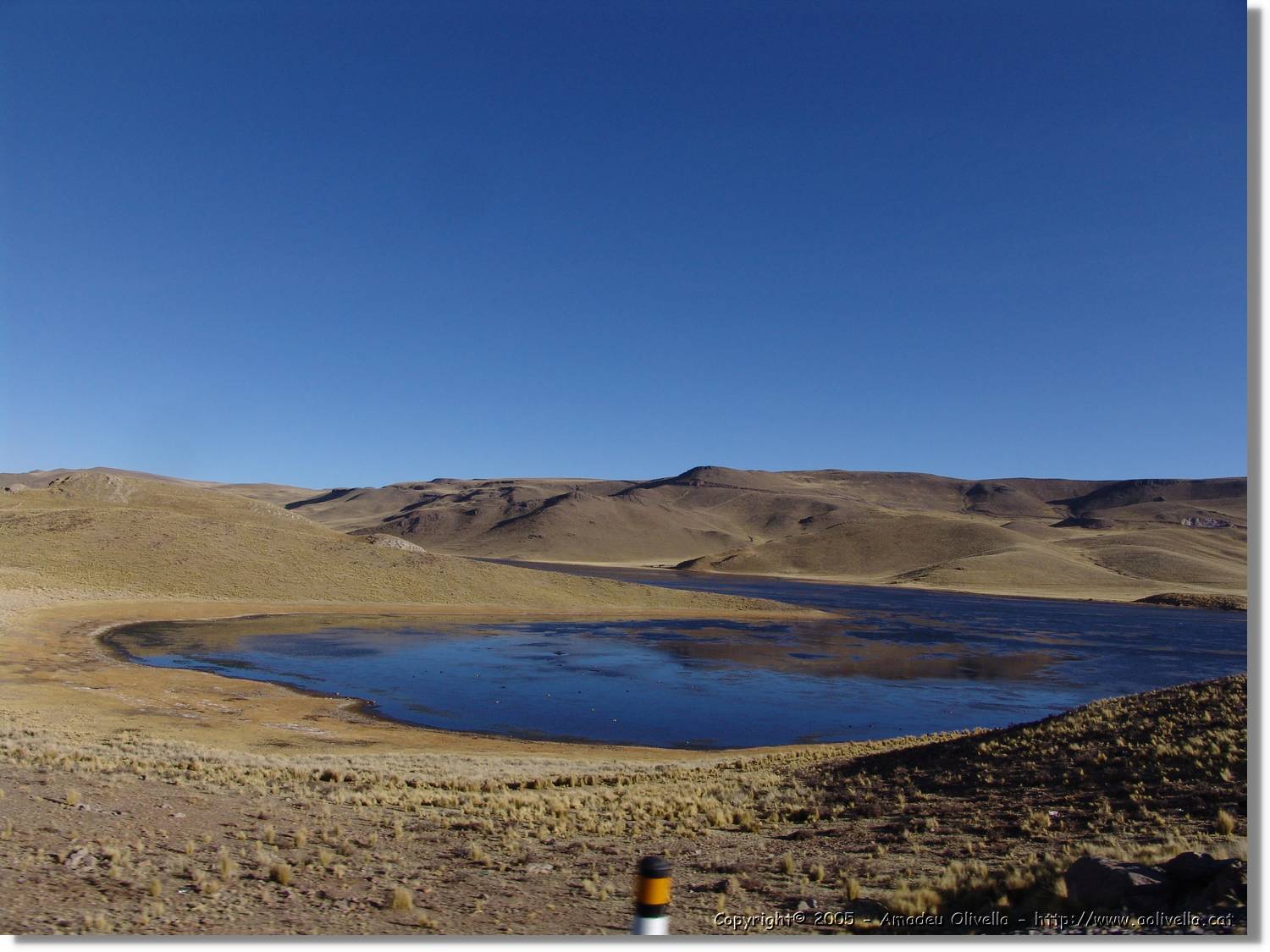 Colca_216.jpg